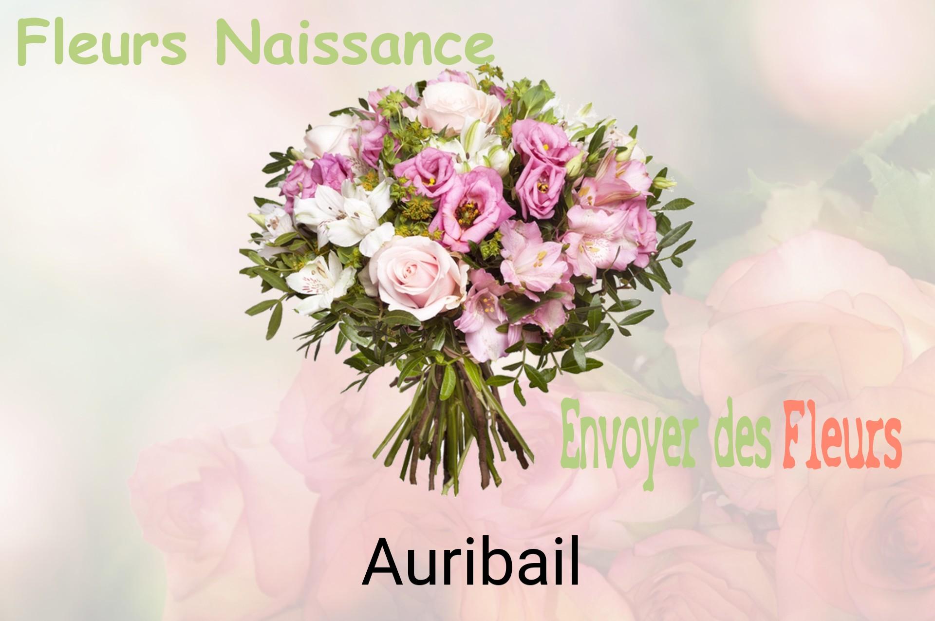 Bouquet de fleurs de naissance livré à Auribail