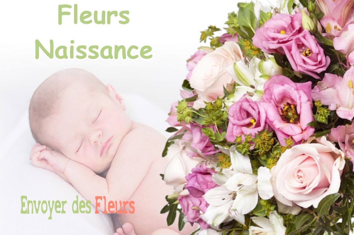 lIVRAISON FLEURS NAISSANCE à AURIBAIL